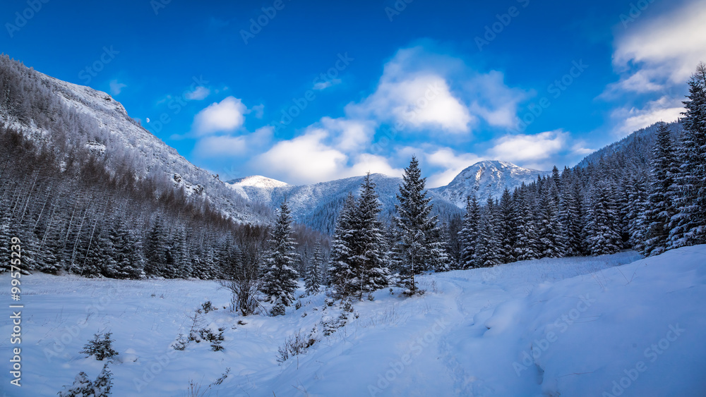 Panorama of snowy mountain path in winter