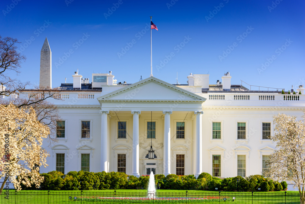 Obraz premium DC at the White House