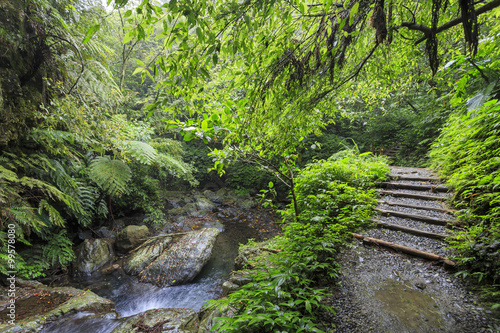 Nature scenic of Linmei Shihpan Trail
