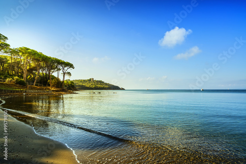 Fototapeta Naklejka Na Ścianę i Meble -  Punta Ala, Pine tree group, beach and sea bay. Tuscany, Italy