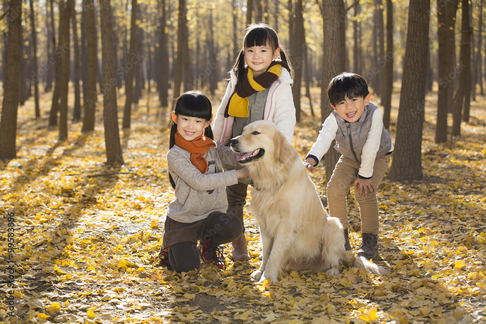 Three children playing with dog in autumn woods Three children playing with dog in autumn woods