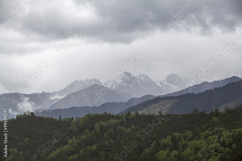 Mountains and forest in Tibet, China