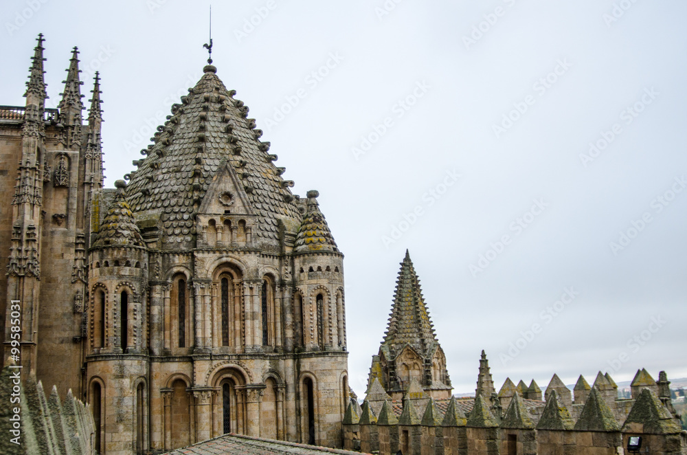 CATEDRAL DE SALAMANCA