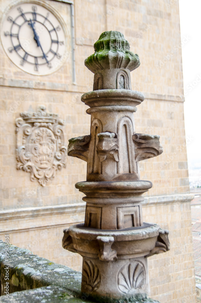 Fototapeta premium SALAMANCA CATEDRAL
