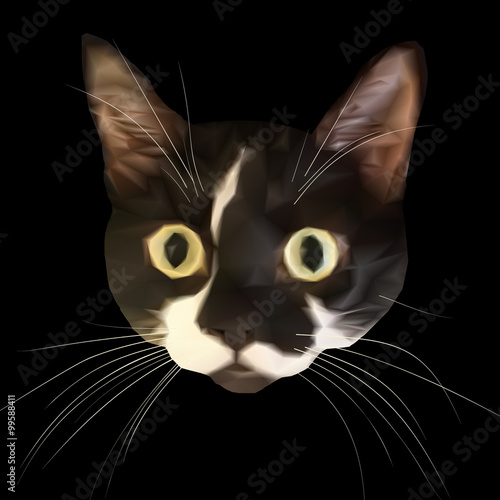 Staring cat head with big eyes and triangular style