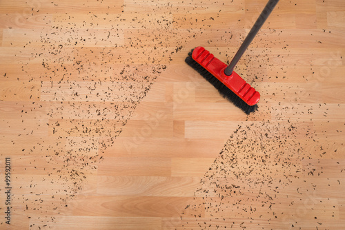 Broom Cleaning Dirt On Hardwood Floor