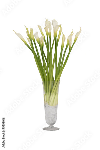 Zantedeschia Flower in glass vase