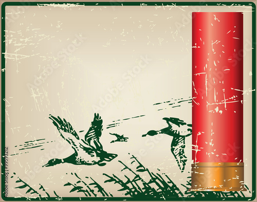 Cartridges for the shotgun and flying ducks