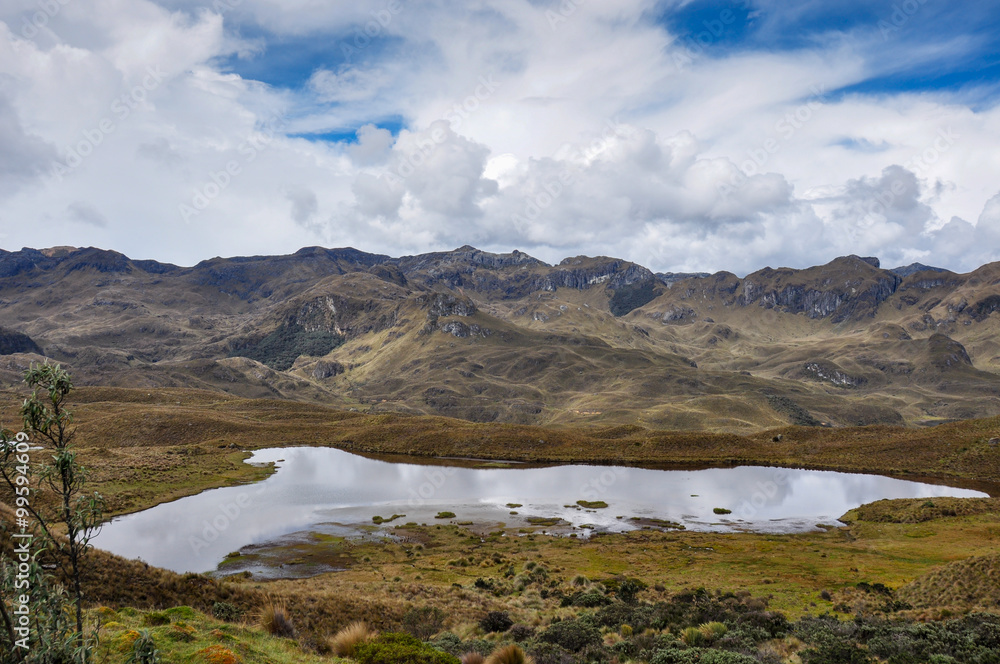 Beautiful view over El Cajas National Park, Ecuador