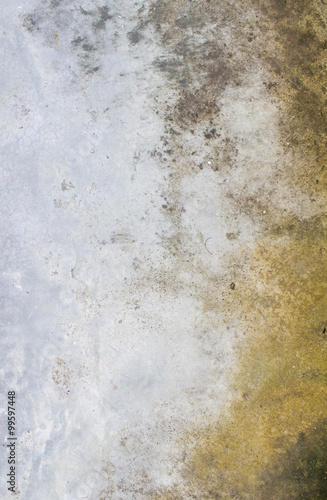 Wallpaper Mural cement floor Torontodigital.ca