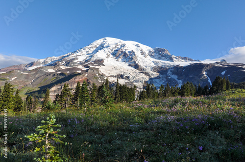 Paradise trail in Mount Rainier National Park, Washington, USA