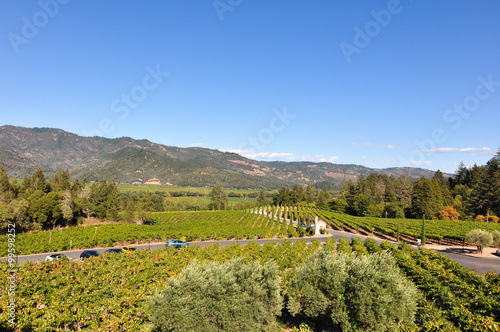 Napa Valley Vineyards  California  USA