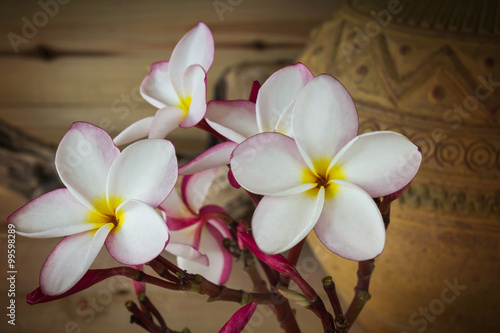  Soft sepia and antique colour tone  Sweet pink yellow flower pl