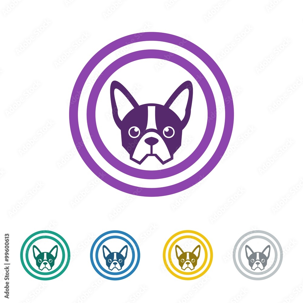 pet logo icon Vector
pet logo icon Vector
