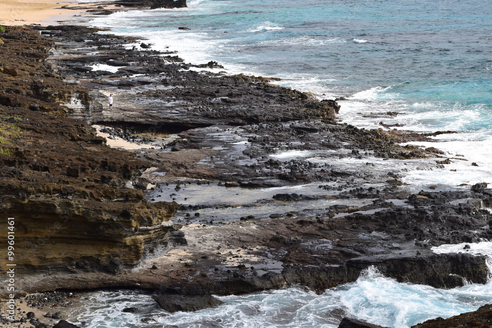 Fototapeta premium ハワイ