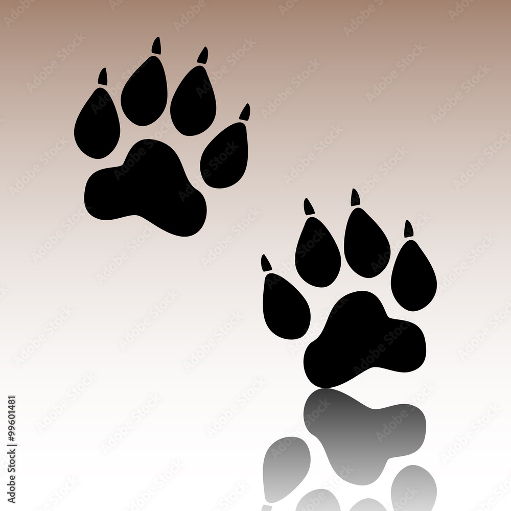 Fototapeta premium Animal Tracks. Vector illustration