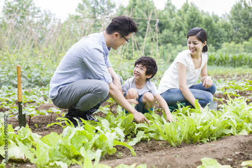 Indian Family In Garden