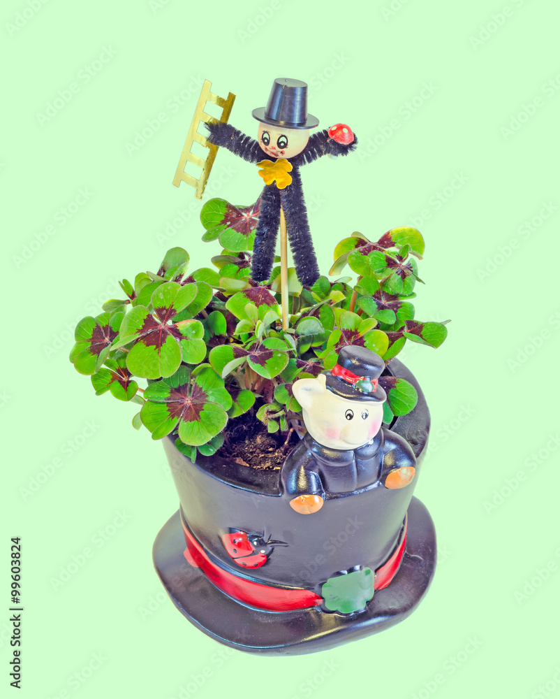 Chimney sweeper over green Oxalis, purple spots, known as wood sorrels, clover four leaves, close up. Flower pot with ceramic pig. Brings luck, used as lucky charm. Chimney sweeper over green Oxalis, purple spots, known as wood sorrels, clover four leaves, close up. Flower pot with ceramic pig. Brings luck, used as lucky charm.