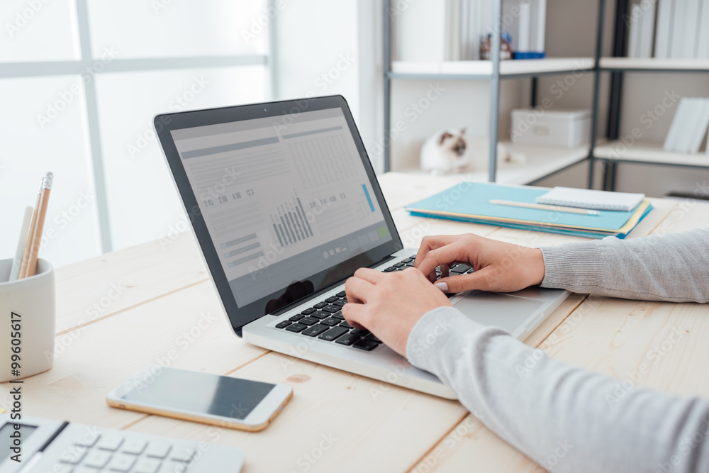 Fototapeta premium Businesswoman at work