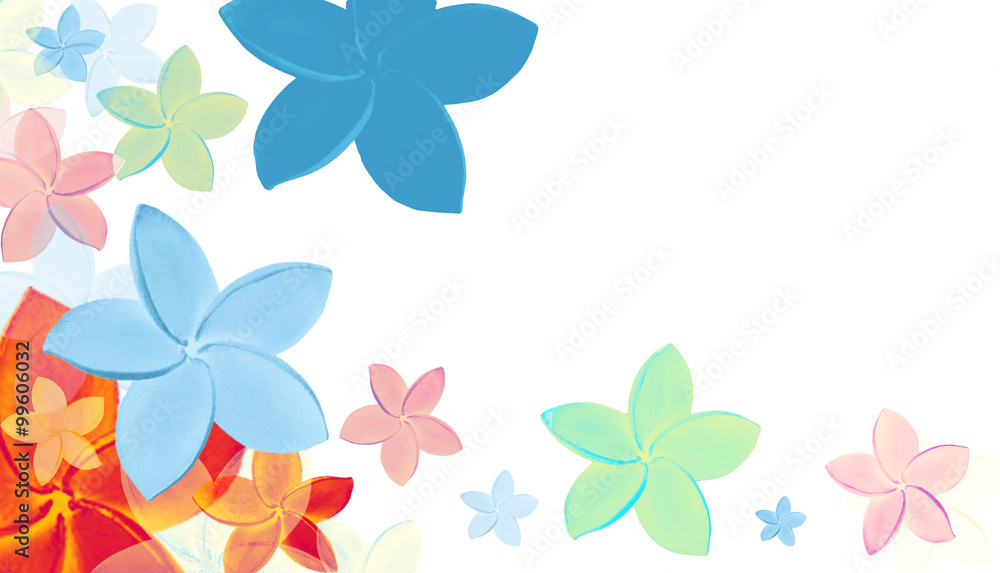Fototapeta premium (with clipping path) isolated colourful tropical flowers with su
