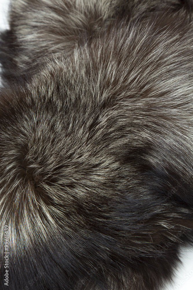 Obraz premium 毛皮のテクスチャー