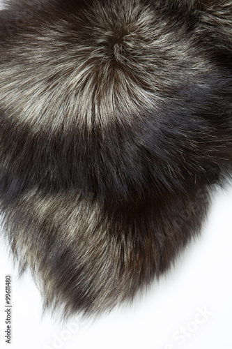 毛皮のテクスチャー © Tsuboya