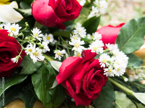 red rose bouquet on grass