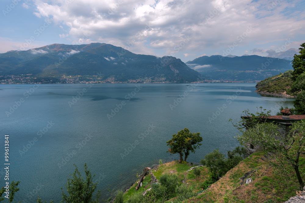 Green tree on  turquoise water of the lake. Como lake landscape. Water and mountains in Italy, Alps, Europe.