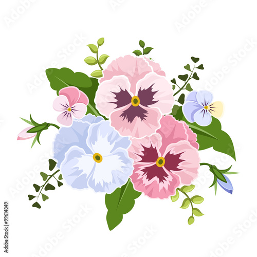 Vector pink and blue pansy flowers isolated on a white background.