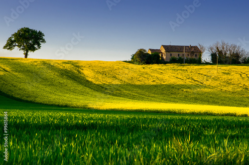 Hills