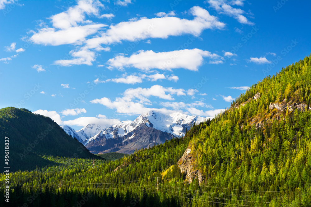 Fototapeta premium Summer mountains view snow-capped peaks green forest and blue sky landscape, Altay mountains, Siberia, Russia