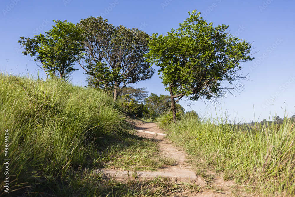 Footpath Hiking Wilderness trail rural landscape summer. Footpath Hiking Wilderness trail rural landscape summer.