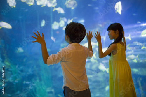 Children in aquarium
