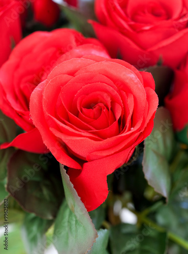 Red roses as Valentine gift