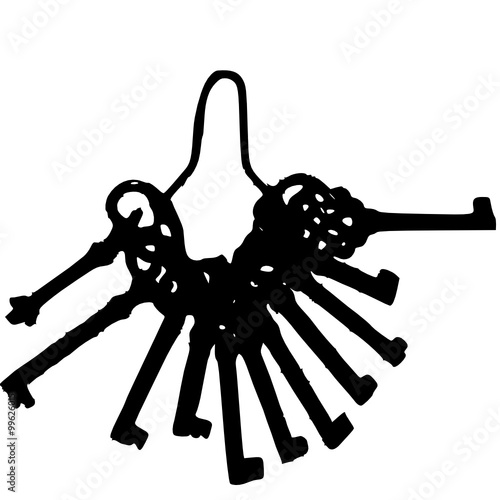 bunch of keys 