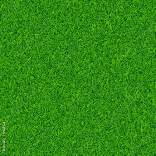 Green grass vector background