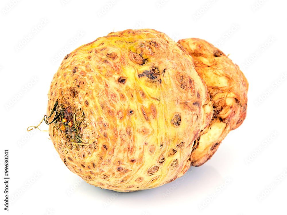 Celery Root Isolated on White Background Celery Root Isolated on White Background