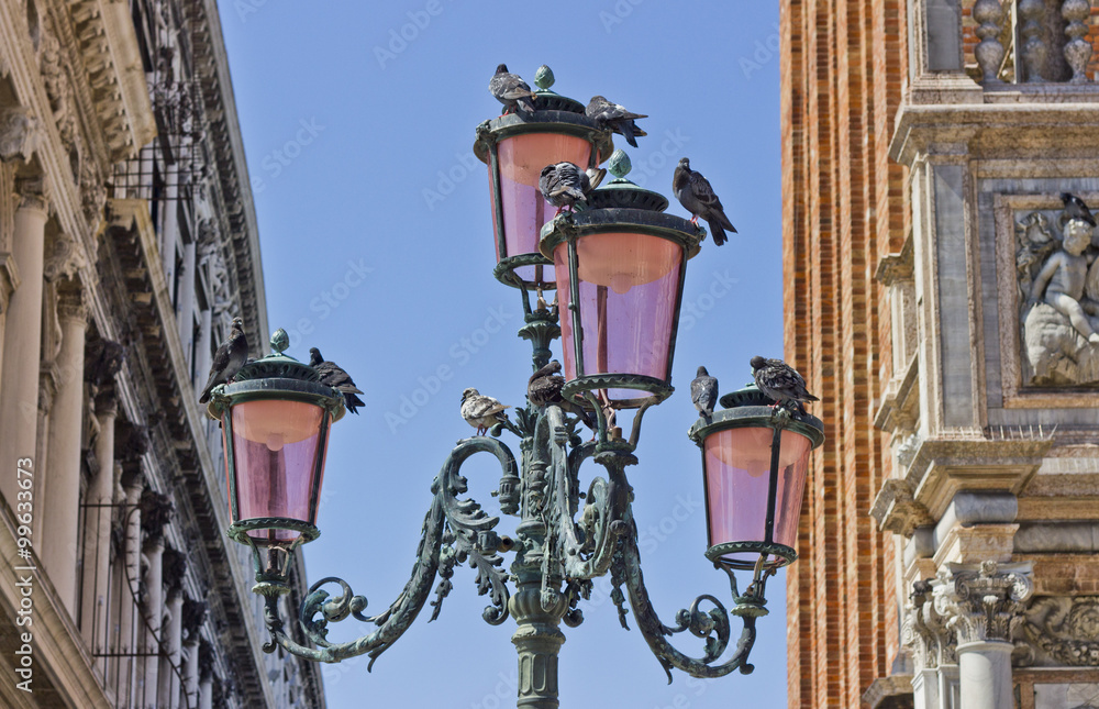Pigeons on lantern in Venice