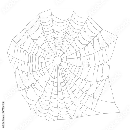 Fototapeta Naklejka Na Ścianę i Meble -  Spider web or net