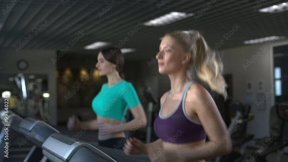 couple of smiling young beautiful girls running on the treadmill couple of smiling young beautiful girls running on the treadmill