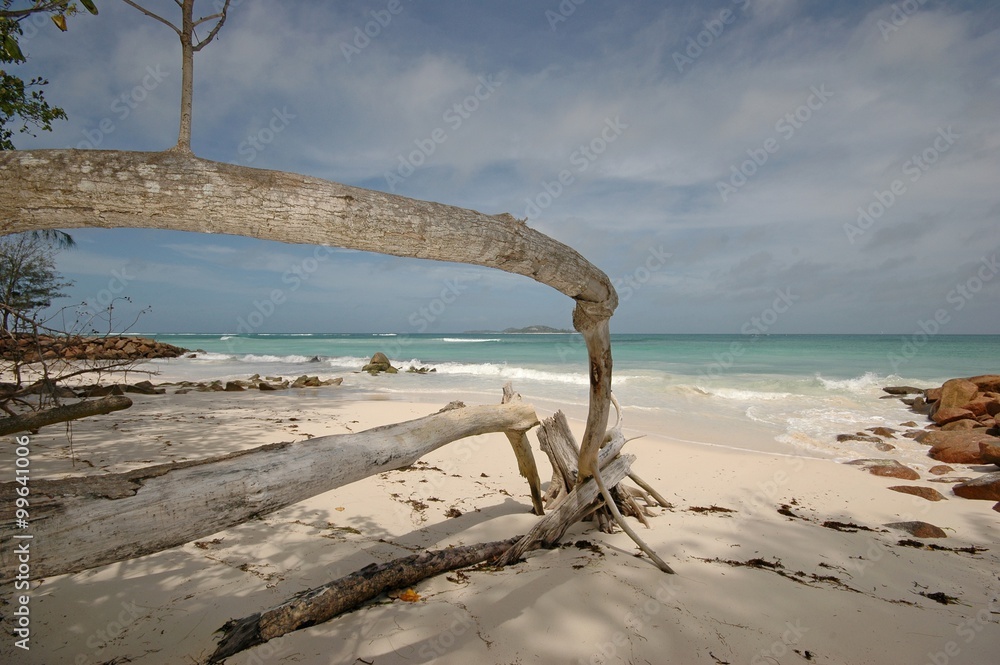 Fototapeta premium Spiaggia