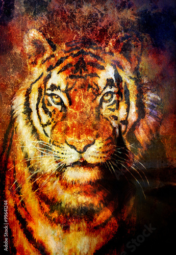  tiger collage on color abstract  background   rust structure  wildlife animals  computer collage.