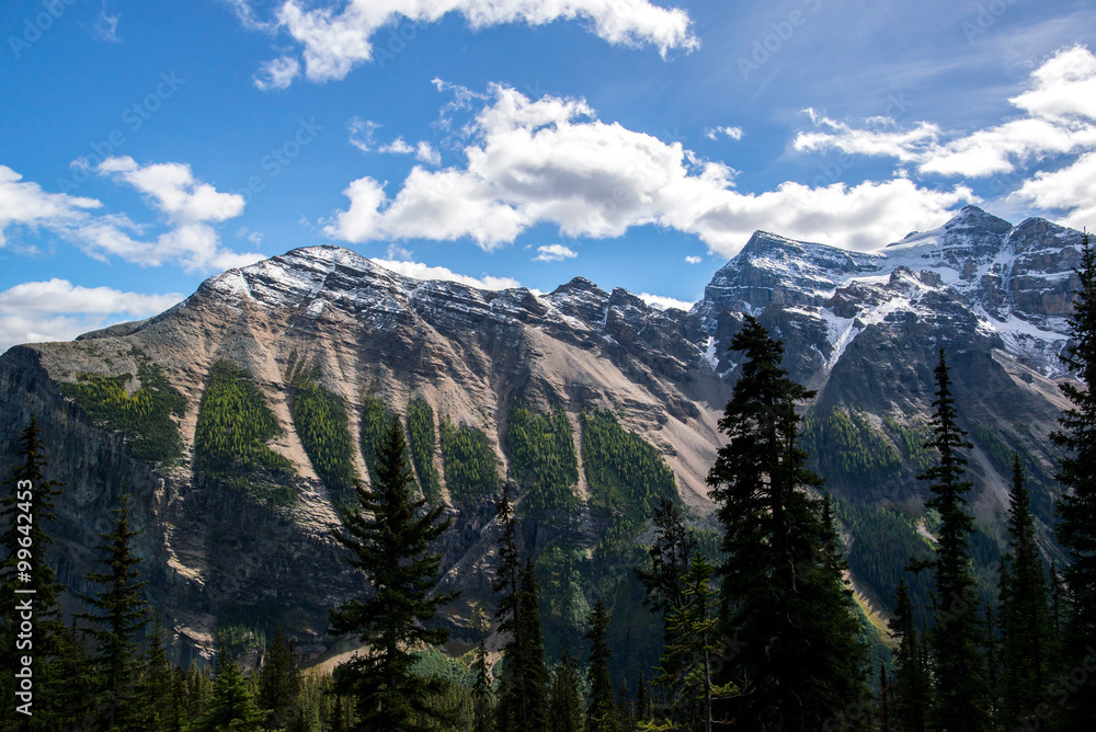 landscape of the rocky mountains of alberta canada during a sunny day in the banff national park