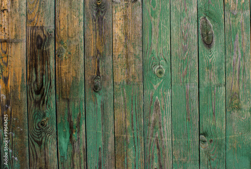 Green wooden fence. Texture. © anya babii