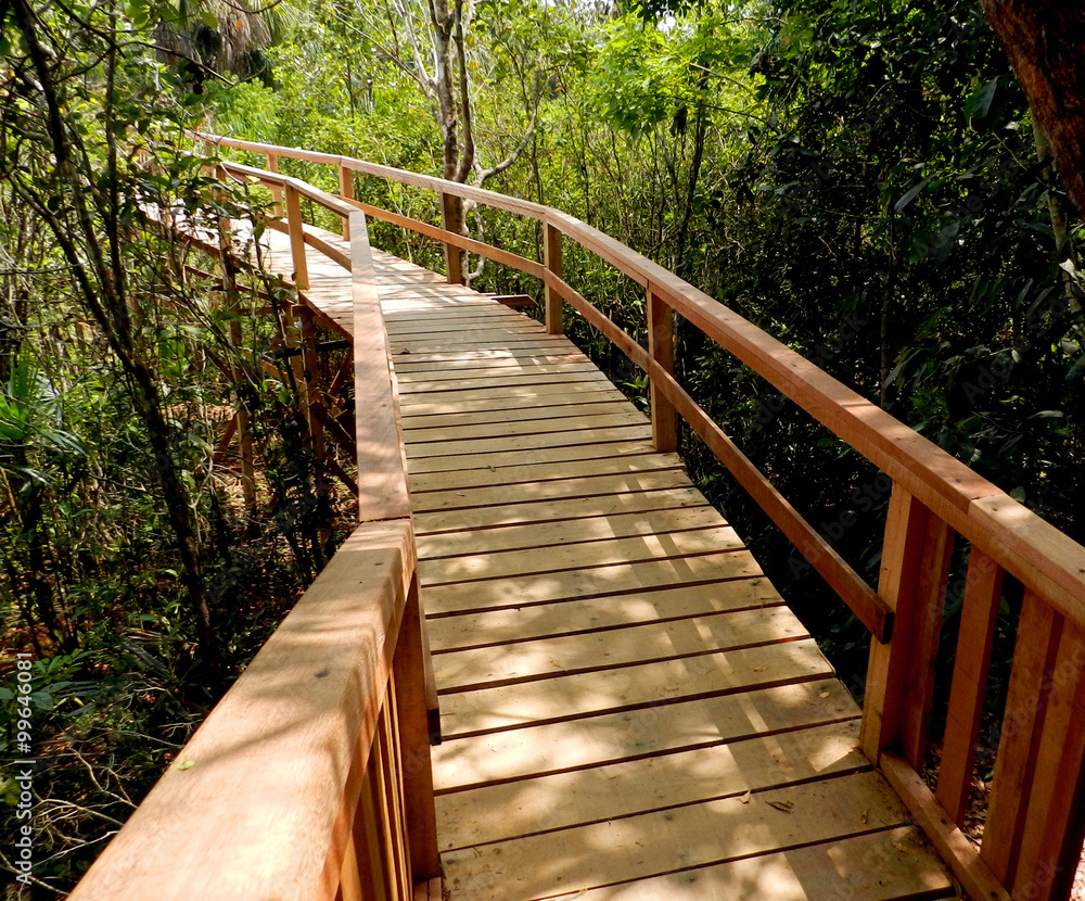 Wooden bridge Wooden bridge