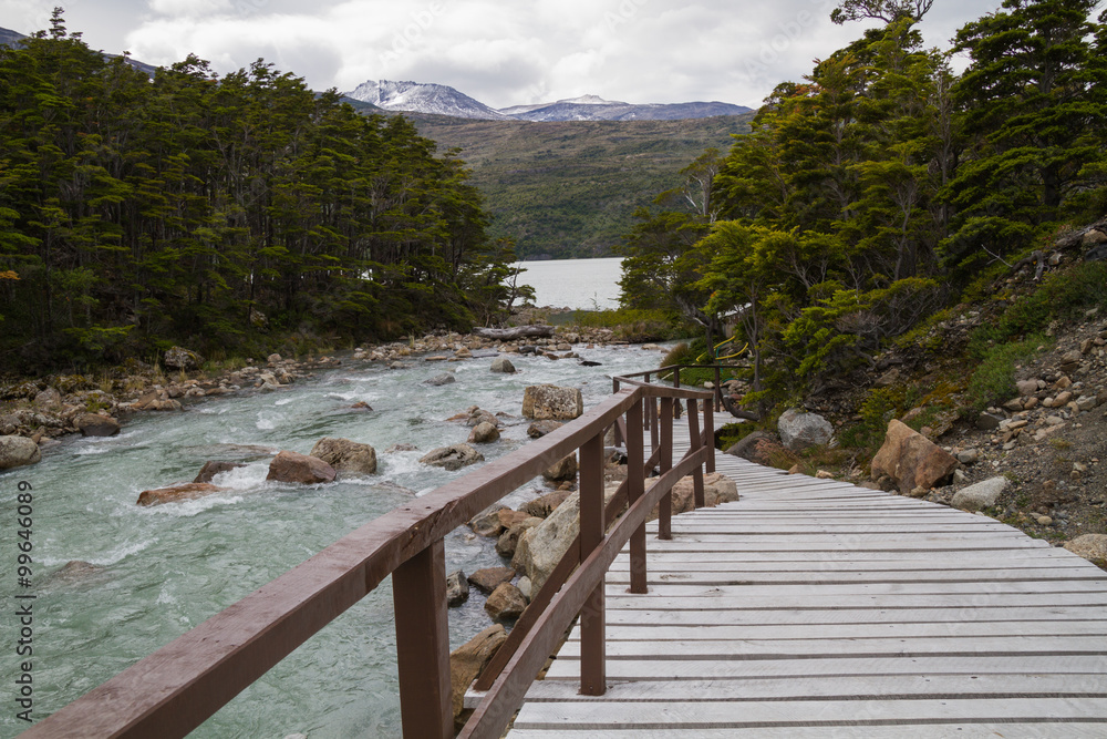 Fototapeta premium Chilean Patagonia Landscape