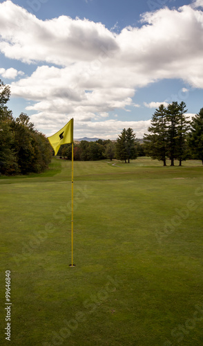 yellow golf flag