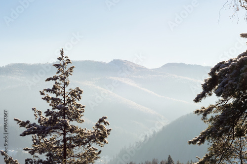 sunny winter mountain landscape photo