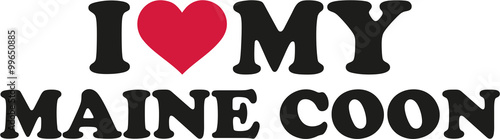 I love my maine coon