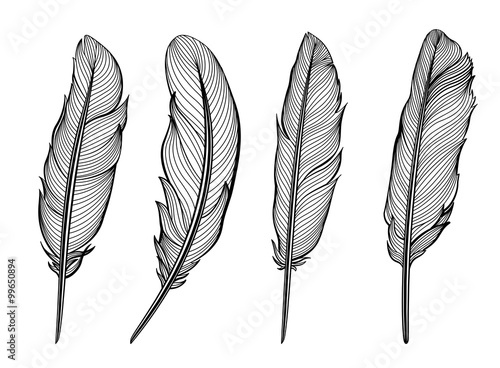 Set of isolated feathers. Vector illustration in black and white.